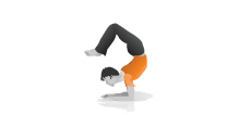 Illustration-flexible