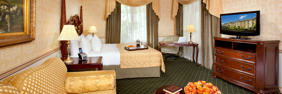 The Deluxe One King room
