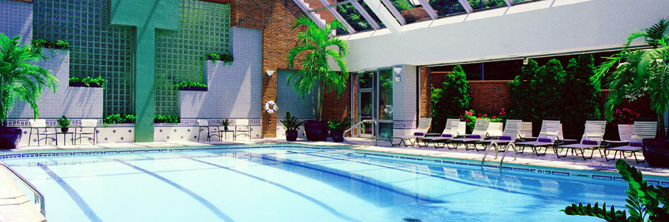 The atrium-style indoor pool